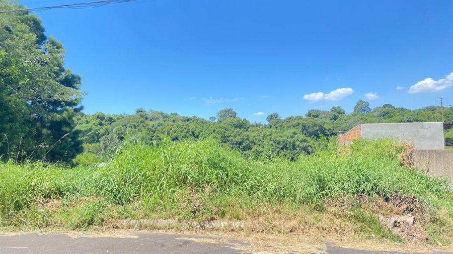 Terreno - Venda - Centro - Nova Santa Rita - RS