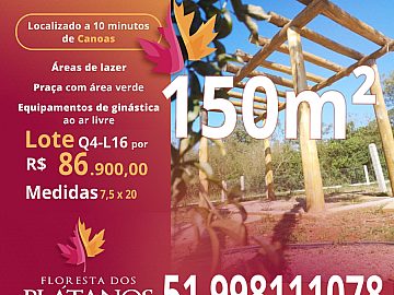 Floresta dos platanos - Q4-L16