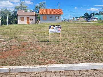 Floresta dos platanos